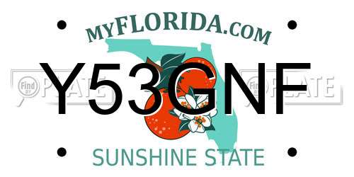 Y53GNF Florida License Plate