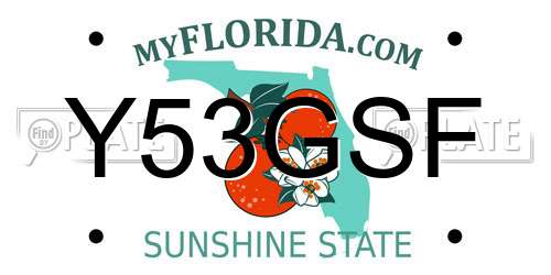 Y53GSF Florida License Plate