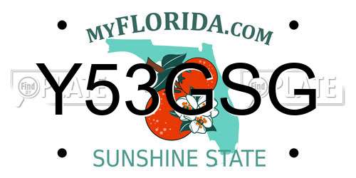 Y53GSG Florida License Plate