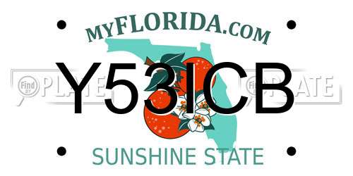 Y53ICB Florida License Plate
