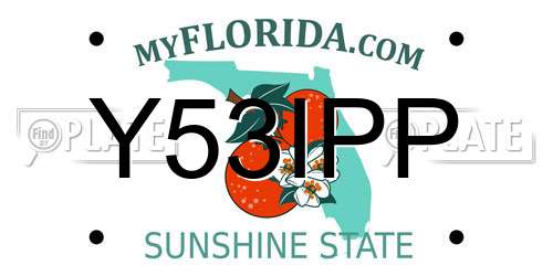 Y53IPP Florida License Plate