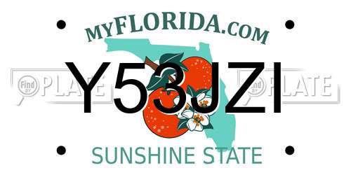 Y53JZI Florida License Plate