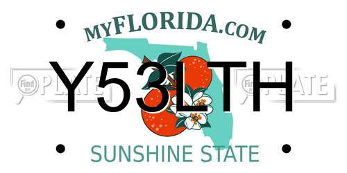 Y53LTH Florida License Plate