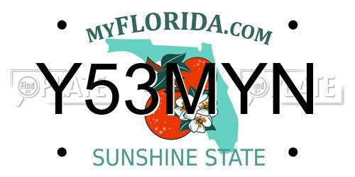 Y53MYN Florida License Plate