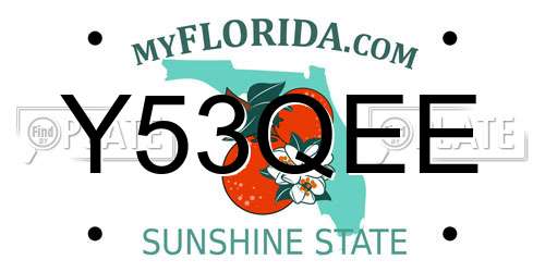 Y53QEE Florida License Plate