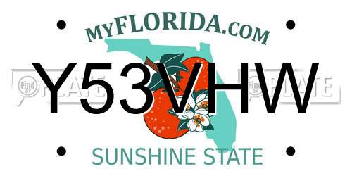Y53VHW Florida License Plate
