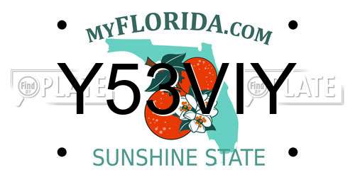 Y53VIY Florida License Plate