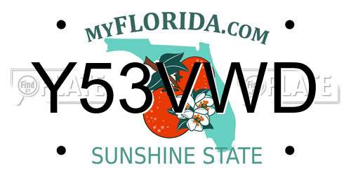 Y53VWD Florida License Plate