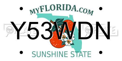 Y53WDN Florida License Plate