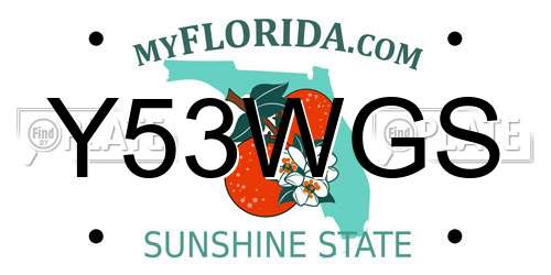Y53WGS Florida License Plate