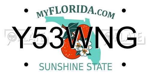 Y53WNG Florida License Plate