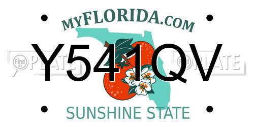 Y541QV Florida License Plate