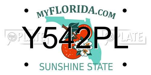 Y542PL Florida License Plate