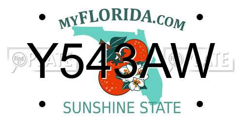 Y543AW Florida License Plate