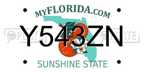 Y543ZN Florida License Plate