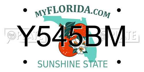 Y545BM Florida License Plate