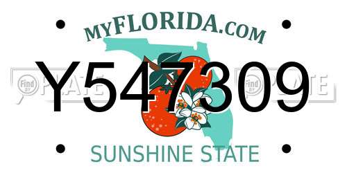 Y547309 Florida License Plate