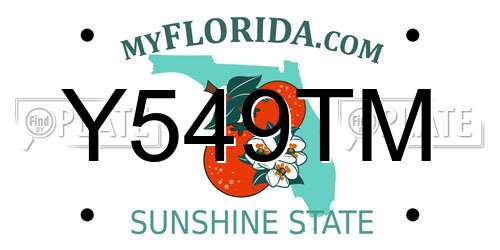 Y549TM Florida License Plate