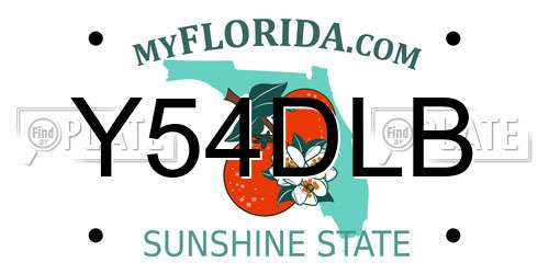 Y54DLB Florida License Plate