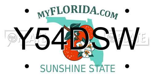 Y54DSW Florida License Plate