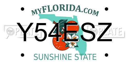 Y54ESZ Florida License Plate