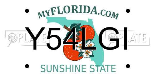 Y54LGI Florida License Plate