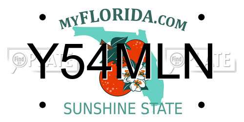 Y54MLN Florida License Plate