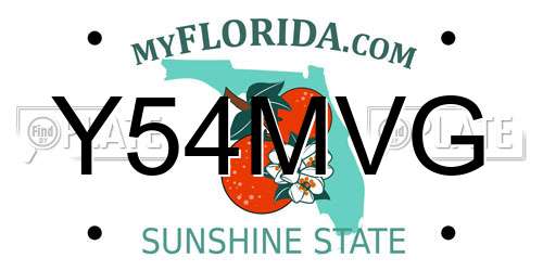 Y54MVG Florida License Plate