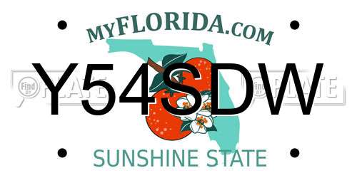 Y54SDW Florida License Plate