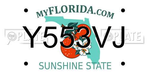 Y553VJ Florida License Plate