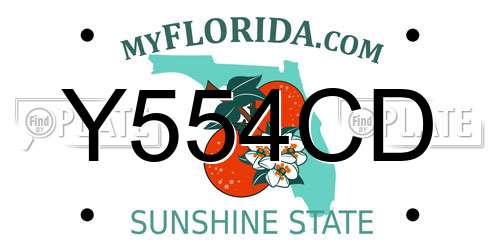 Y554CD Florida License Plate