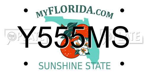 Y555MS Florida License Plate