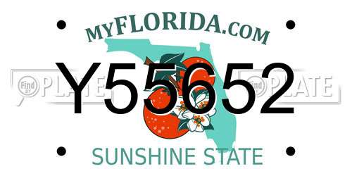 Y55652 Florida License Plate