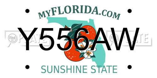 Y556AW Florida License Plate