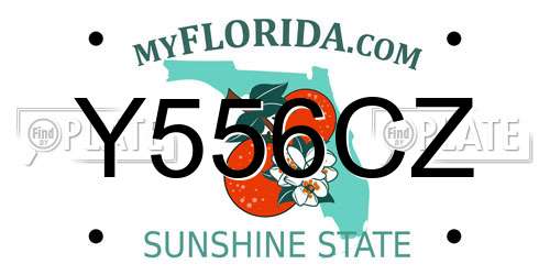 Y556CZ Florida License Plate