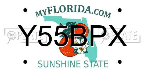 Y55BPX Florida License Plate