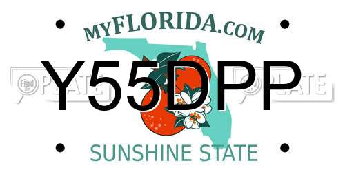 Y55DPP Florida License Plate