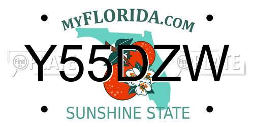 Y55DZW Florida License Plate