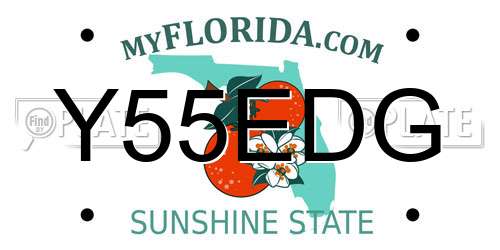 Y55EDG Florida License Plate