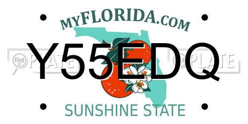 Y55EDQ Florida License Plate