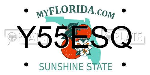 Y55ESQ Florida License Plate