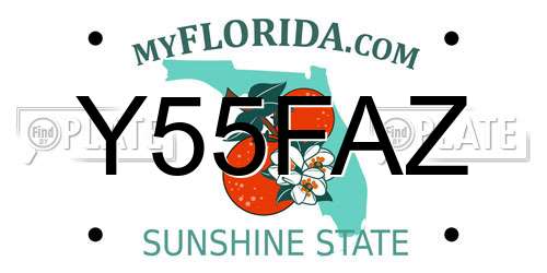 Y55FAZ Florida License Plate