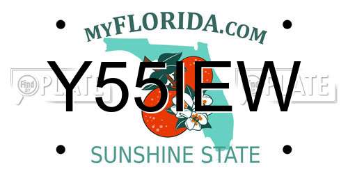 Y55IEW Florida License Plate