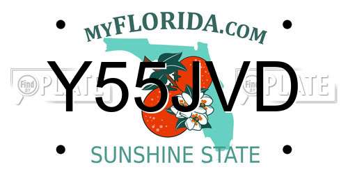 Y55JVD Florida License Plate