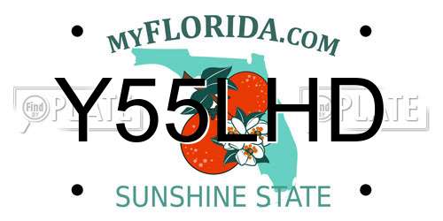 Y55LHD Florida License Plate
