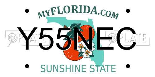 Y55NEC Florida License Plate