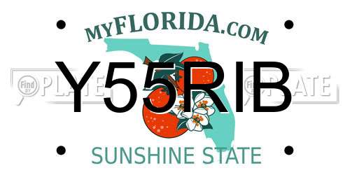 Y55RIB Florida License Plate