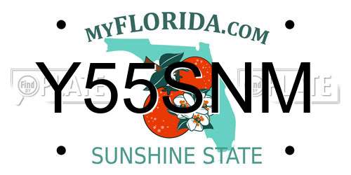 Y55SNM Florida License Plate