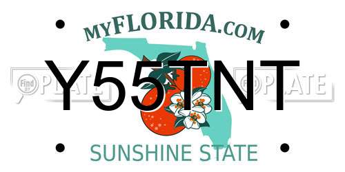 Y55TNT Florida License Plate