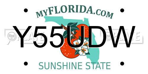 Y55UDW Florida License Plate